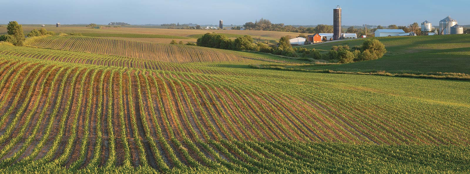 A farm with rolling hills